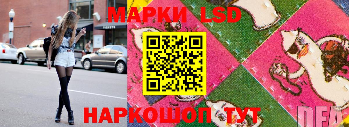 Наркотические марки  Наркотические марки 1,8мг  Вход с VPN  Наркотические марки 1,8мг  Губкин 
