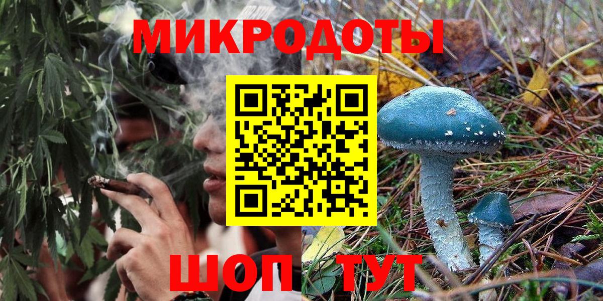 Галлюциногенные грибы Cubensis  Вход с VPN  Губкин 